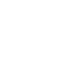 Cashback Icono